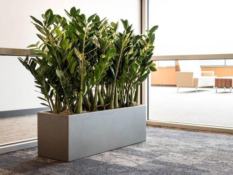 Изображение к категории продукции «Скамейки»